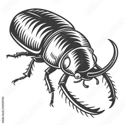 A detailed illustration of a stag beetle isolated on white