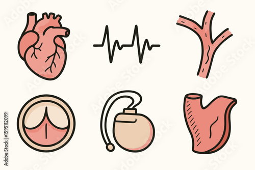 hand drawn cute doodle style isolated cardiac chamber heartbeat rhythm coronary artery heart valve pacemaker device ventricular wall