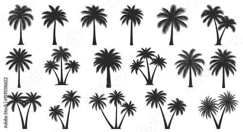 Collection of stylized silhouette palm trees in various clusters and single arrangements isolated on transparent background