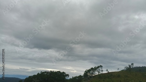 storm clouds over the forest