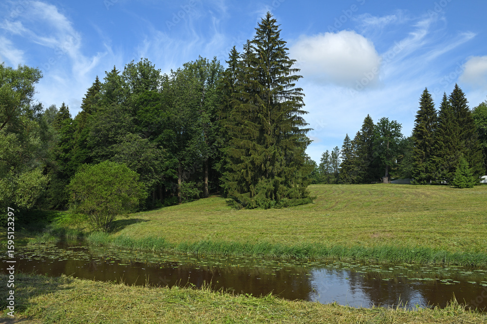 Slavyanka River in Pavlovsk Park in summer, suburb of Saint Petersburg, Russia Slavyanka River in Pavlovsk Park in summer, suburb of Saint Petersburg, Russia