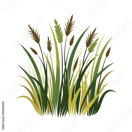 Illustration of a lush clump of tall green reeds and cattails against a white background