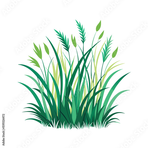 Vibrant watercolor painting of lush green grass and reeds on a white background