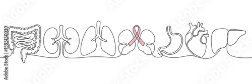 Continuous Line Drawing of Lungs Ovaries and Stomach with Pink Ribbon