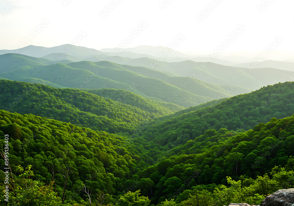 Naklejka premium Green Mountain Range Landscape View