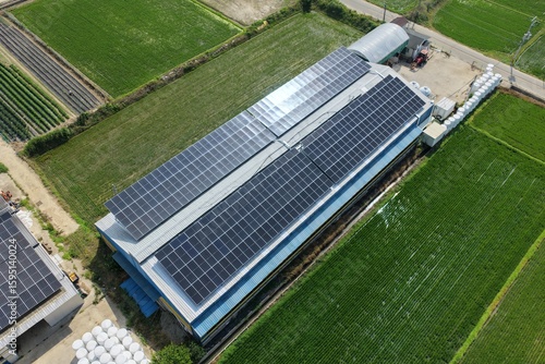 Solar Panels Installed on Hanwoo Cattle Farm Roof in Rural Korea - 한우 축사 지붕 위에 설치된 태양광 패널 – 한국 농촌 풍경