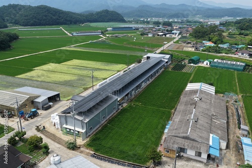 Wallpaper Mural Solar Panels Installed on Hanwoo Cattle Farm Roof in Rural Korea - 한우 축사 지붕 위에 설치된 태양광 패널 – 한국 농촌 풍경 Torontodigital.ca