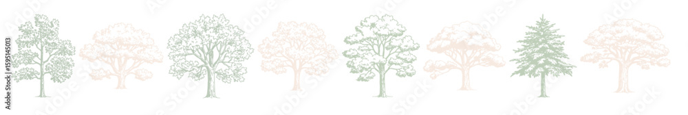 Obraz premium Architectural Drawings Minimalist Hand-Drawn Tree Illustrations Collection Featuring Various Species in Soft Pastel Shades for Nature, Architecture, and Design Projects