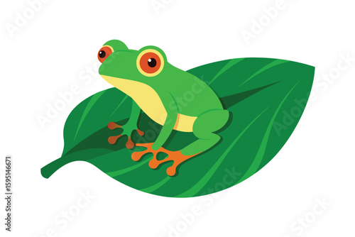tree frog on lush green leaf