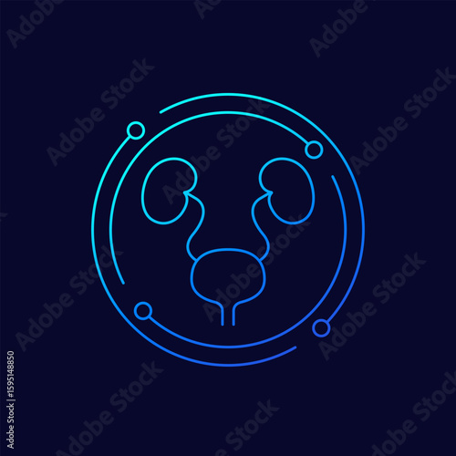urinary system icon with bladder and kidneys, linear design