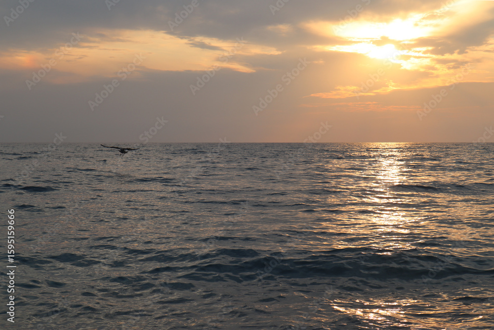 Fototapeta premium Scenic sea view at sunset