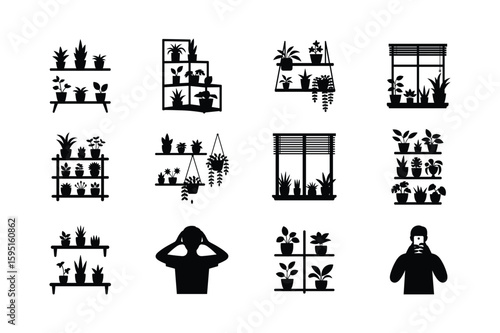 Potted Plants On Shelves And Window Silhouettes indoor plants