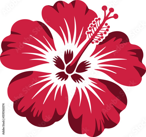 Vibrant red hibiscus flower with detailed stamens and petals