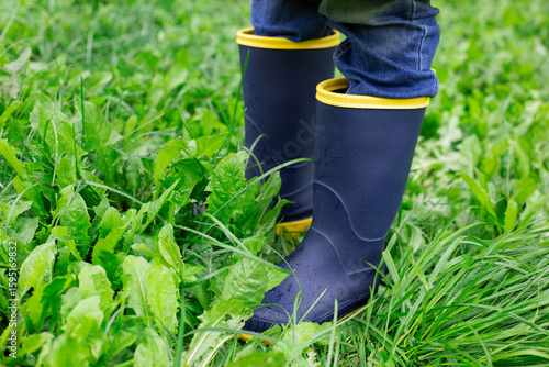 children's rubber boots close-up on wet green grass. A pair of small children's rain boots with yellow soles standing on wet grass in an outdoor setting