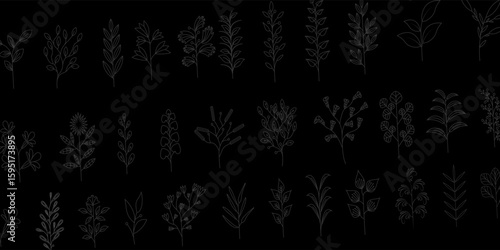 black Forest Header lit by moonlight with a full moon. Halloween Horizontal Banner of dark tree silhouettes with flying bats, graves, ghosts, Illustration.