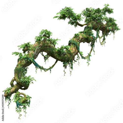 realistic jungle tree branch with twisted liana vines and moss isolated on transparent background