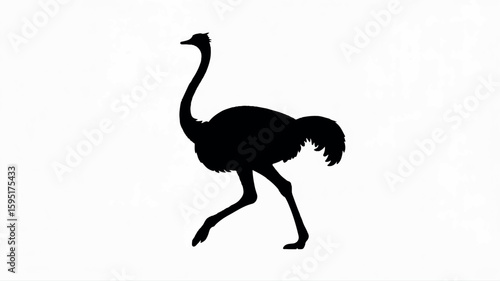 Minimalist black ostrich silhouette on a clean white background perfect for nature or wildlife themes