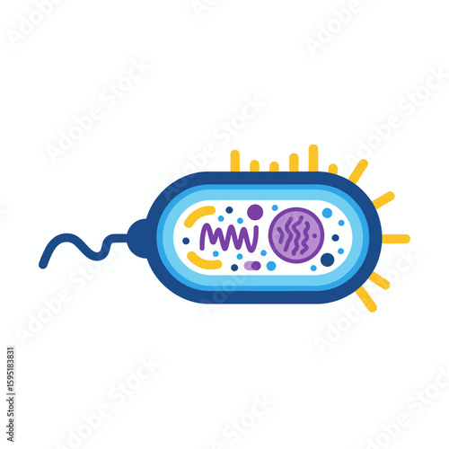 Blue bacterium cell with flagellum and pili illustration on white background.