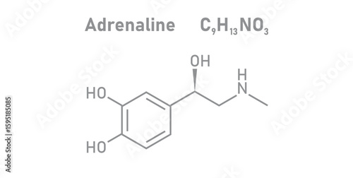 chemical structure of adrenaline or epinephrine.