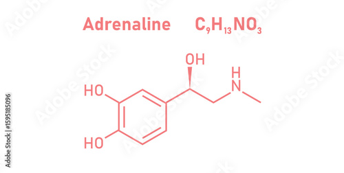 chemical structure of adrenaline or epinephrine.