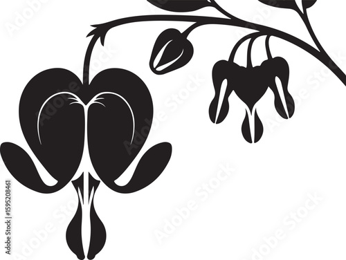 Black silhouette of a bleeding heart flower branch with buds on white background dicentra spectabilis