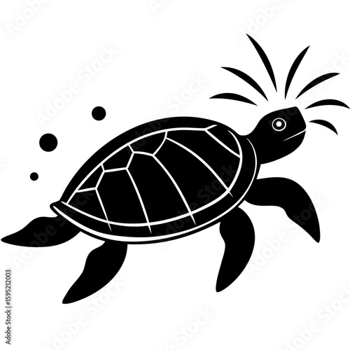 vector illustration of turtle