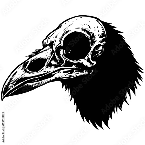Vintage Vector Illustration of Raven with Exposed Skull – Gothic Bird Art"