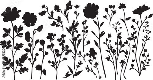 Elegant Floral Silhouette Border with Wildflowers and Delicate Branches on White