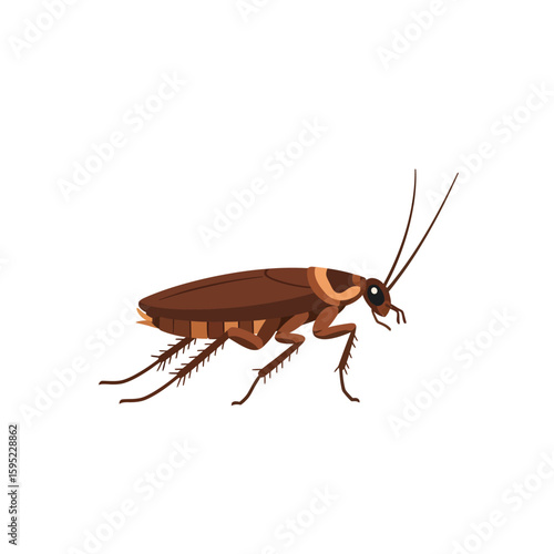 Illustration of a cockroach with brown body, long antennae, and six legs, isolated on a white background.