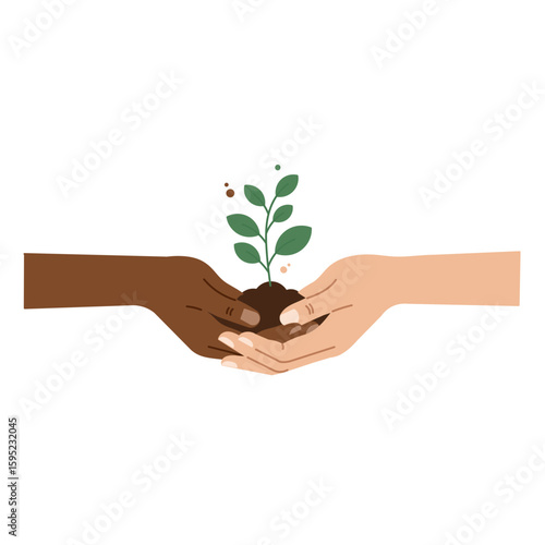 Hands holding plant diversity and growth concept