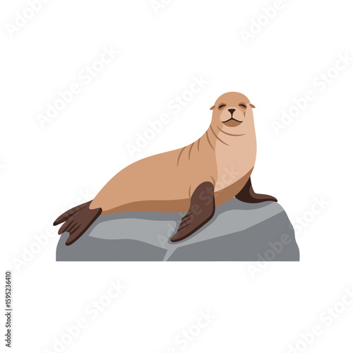 A light brown sea lion resting calmly on a grey rock, isolated on a white background.