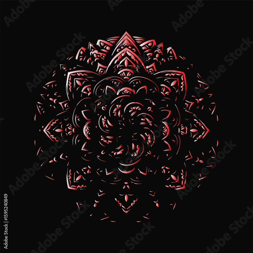 red rose on black background