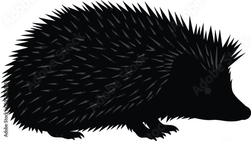 Silhouette of hedgehog with detailed sharp spines, nature illustration, wildlife design, nocturnal animal artwork, black vector graphic style