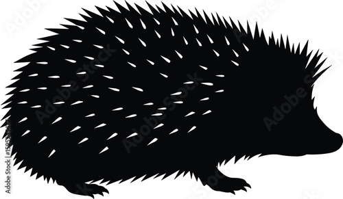 Silhouette of hedgehog with spiky quills, black vector illustration for wildlife, animal education, nature design, nocturnal mammal artwork