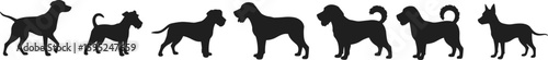 Silhouettes of various dog breeds in a row, pet design, canine shape, black vector illustration, animal posture, stock graphic