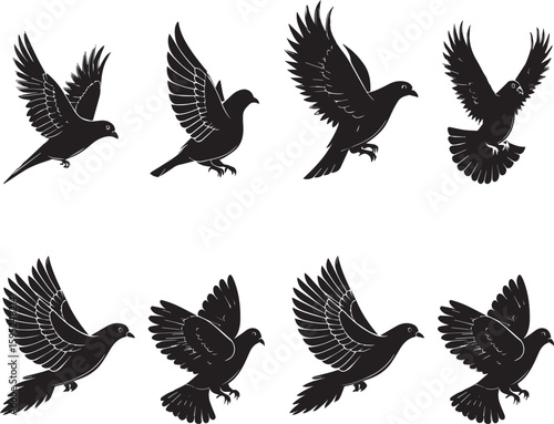 set of pigeon 