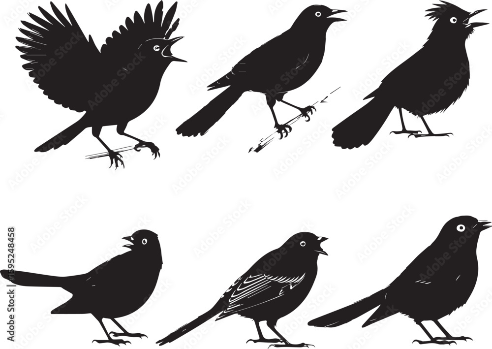 Fototapeta premium set of birds