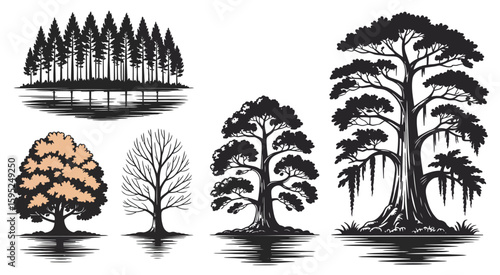 Trees Including Cypress and Oak Reflected in Calm Water  Serene Nature Illustration Perfect for Posters, Nature Themes, and Background Design