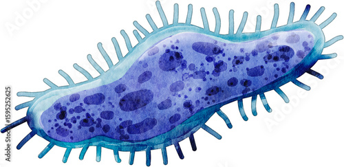 watercolor blue microbe isolated on white clip art preview
