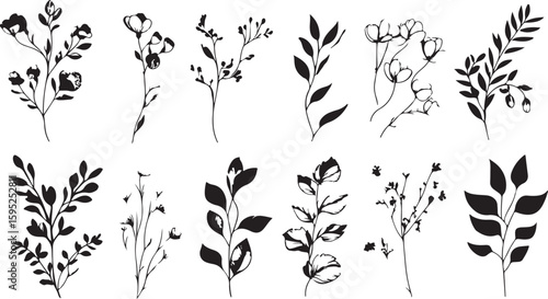 Elegant Botanical Line Art Seamless Pattern of Black and White Floral Elements