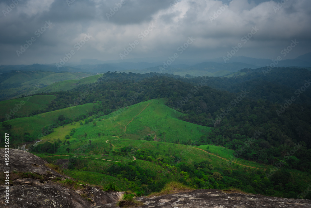 Obraz premium Dense green forest landscape of Idukki Wildlife Sanctuary captured during monsoon in Kerala, India. 