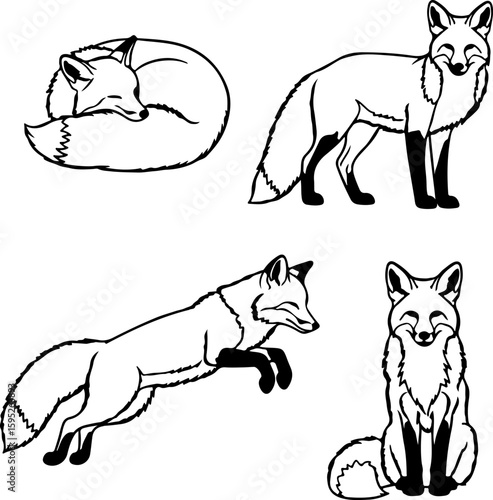 Artistic line drawings of foxes in various poses and activities