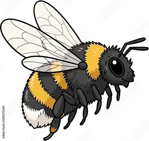 Detailed vector illustration of a bumblebee with vibrant black and yellow stripes
