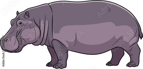 Detailed Illustration of a Hippopotamus in Side View Depicting Anatomy and Features