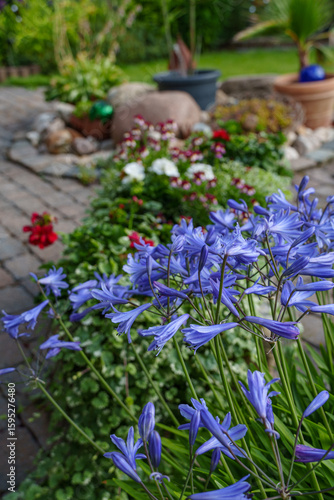 Wallpaper Mural Sommerzeit im Münsterland Torontodigital.ca