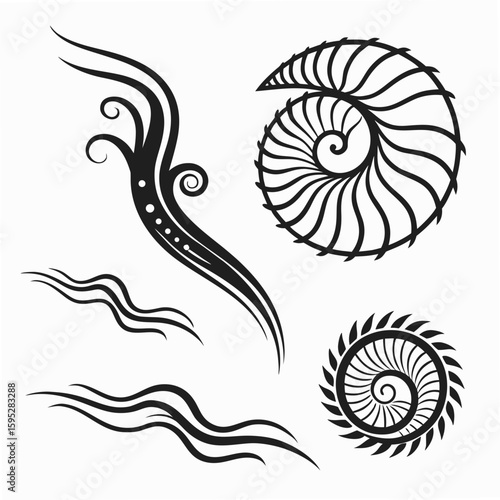 Black tribal swirls and nautilus shell design decorative ornamental