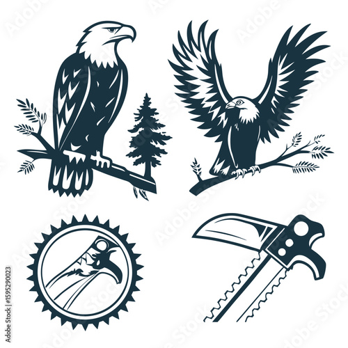 Majestic eagles and wilderness tools hawk bird