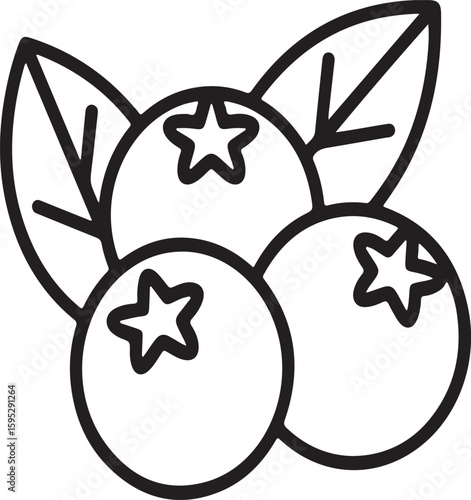 Three plump berries with star markings and leaves fruit black and white