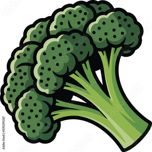 Broccoli colorful vector illustration isolated On Transparent Background