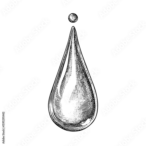 Water droplet falling from point in vintage engraved style  